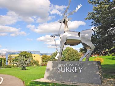 University of Surrey, Гилфорд