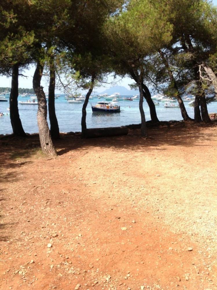 Atoll Cannes (Centre International d'Antibes Atoll), Канны