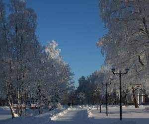Кострома-Ярославль: О династии Романовых, черной соли, сыре и Снегурочке