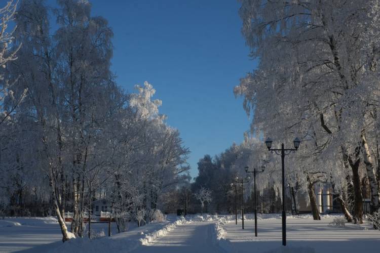 Кострома-Ярославль: О династии Романовых, черной соли, сыре и Снегурочке